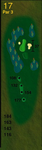 Hole-17