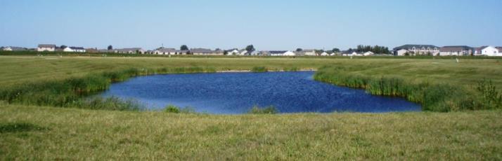 Pond Image