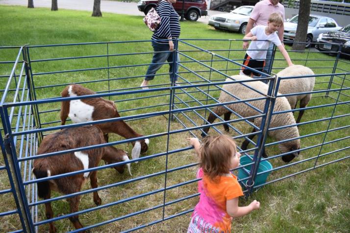 Petting zoo fun