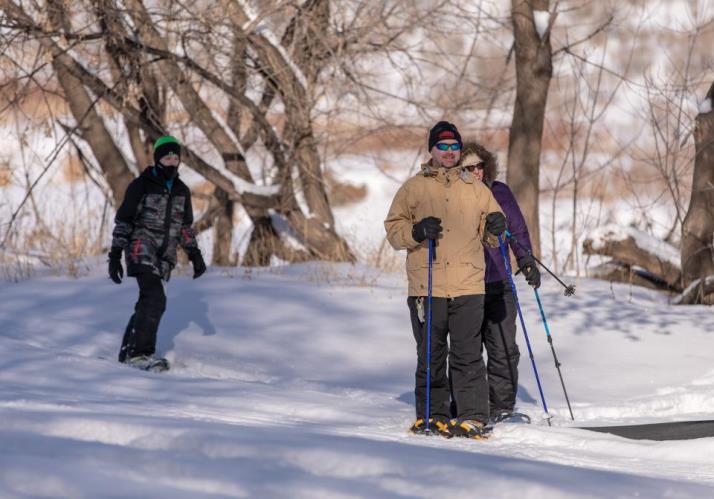 Snowshoe Group