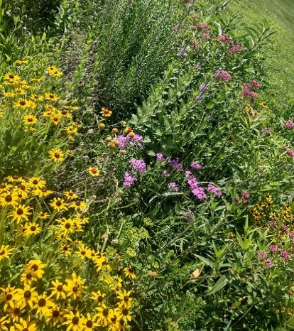 Prairie 1