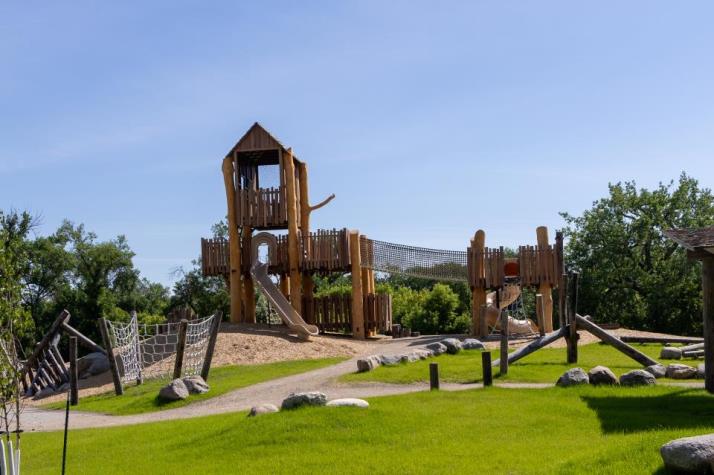Rotary Natural Play Hill (3)