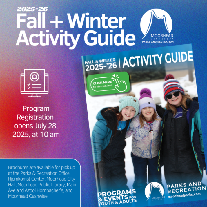 website info graphic - Online activity Guide